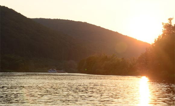 Mitgliedschaft im Verein